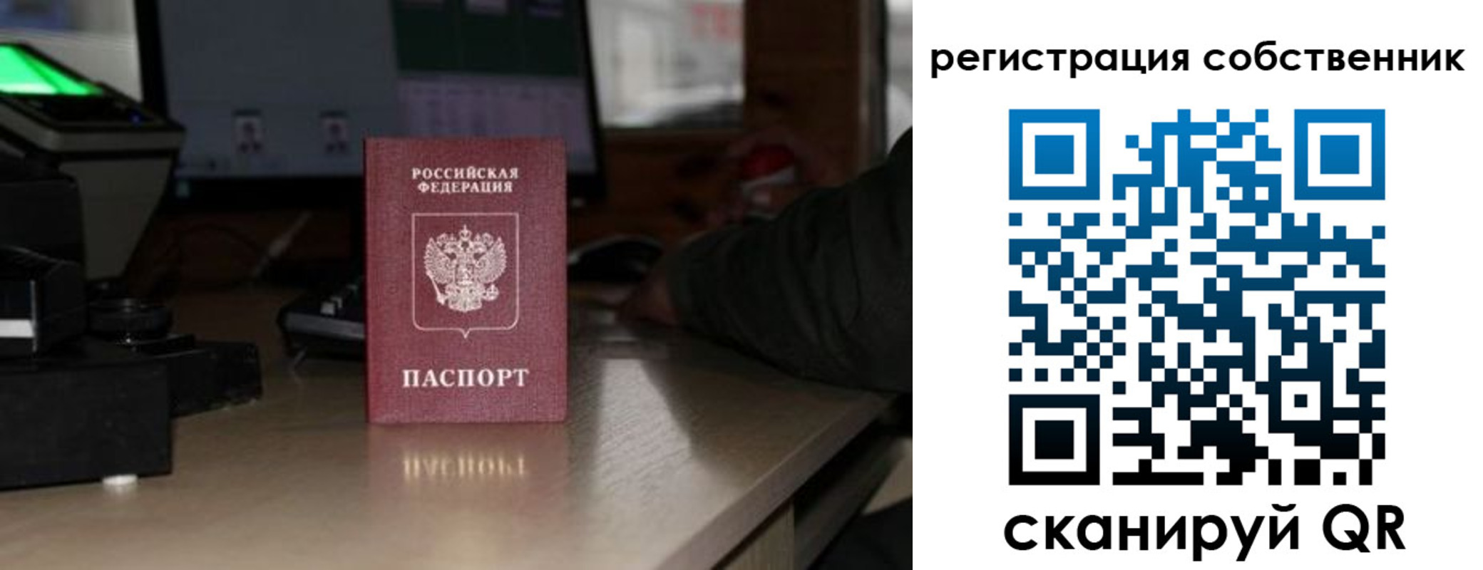 прописка поиск в Ковылкино